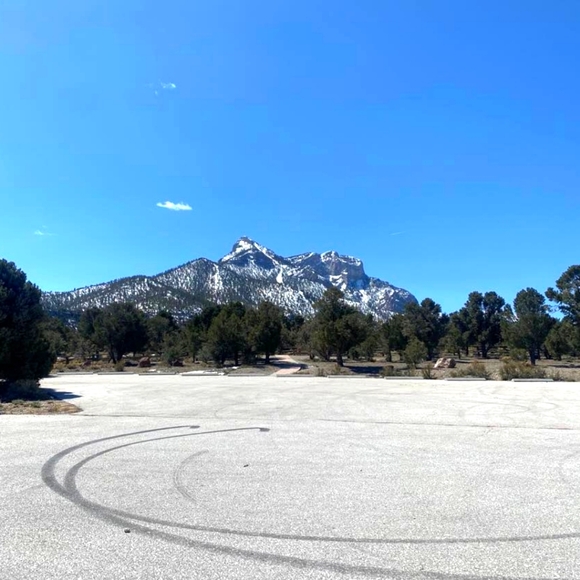 Meet your Posher, Shawntell - Picture 2 of 2